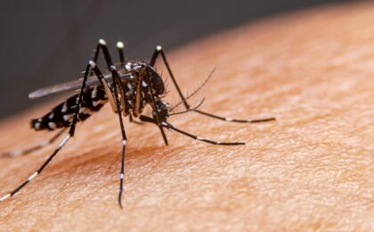 aumento-dengue-brasil-2026-alerta